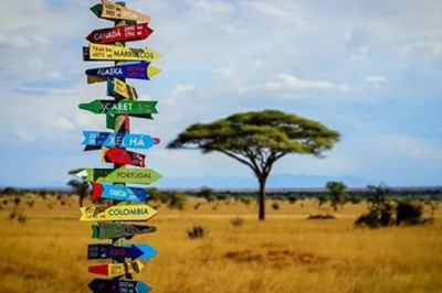 Значение цвета в разных странах: желтая книга — это неприлично, а в белом на похороны — OK