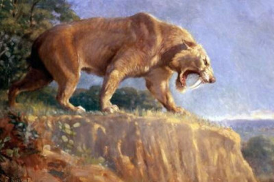 Смилодон, квинканы и еще 8 чудовищных животных, живших в одно время с человеком