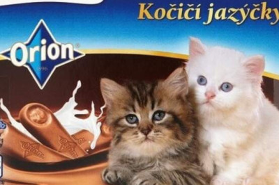 Карамель из баранины и шоколадные кошачьи язычки: самые странные конфеты со всего мира