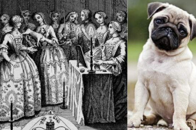 Как масоны создали Орден мопса