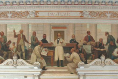 Как ученые впервые обнаружили вирусы