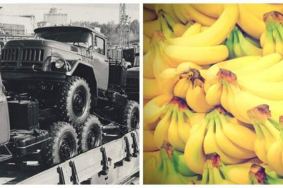 Как в Советском Союзе появились бананы: военная техника в обмен на экзотические плоды