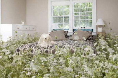 Ошибка иммунитета: как работает аллергия и от чего возникает