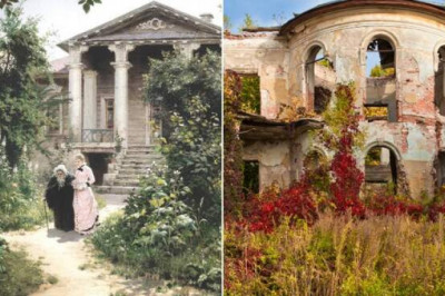 Какими были дачи в царской России: чем от вотчины отличалось поместье, как у дворян появились усадьбы и др