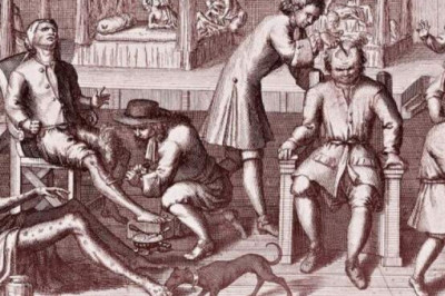 Какие болезни были завезены в Европу из Нового света, Африки и Азии