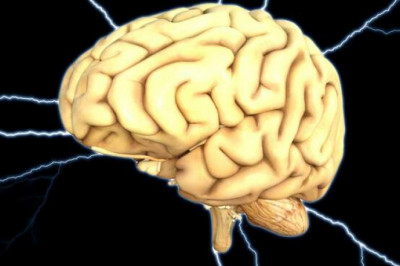 Сколько в голове помещается личностей: тайные миры мозга