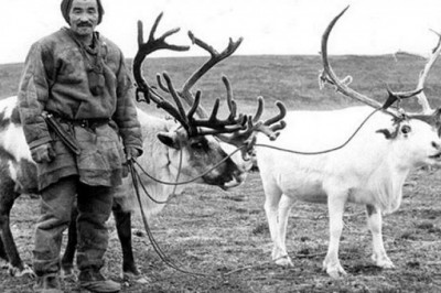 Кто и зачем спаивал чукчей