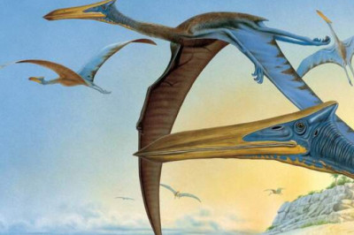 Зачем птерозаврам гигантские крылья с 16 метровым размахом