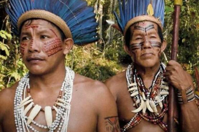 Табасаранский, нивхский и русский: 10 самых сложных языков мира