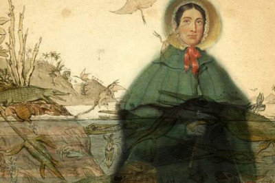 Мэри Эннинг: «она продает морские раковины на морском берегу»