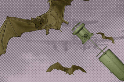 Рассмешить врага до смерти: оружие, за которое военным пришлось краснеть