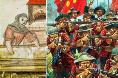 Почему раньше без сборщиков мочи война была невозможна?