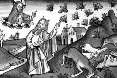 Овца от насморка, а хамелеон от гнойных ран: чем лечились от всяких холер наши предки