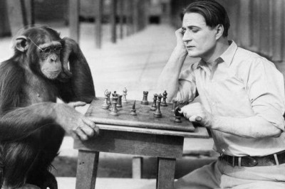Как в СССР пытались создать гибрид человека и обезьяны: биолог Иванов на должности творца