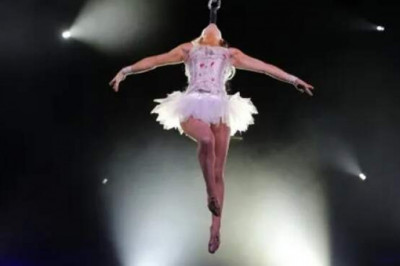 Разорвал медведь, напал тигр, затоптали слоны: самые страшные трагедии цирковых артистов