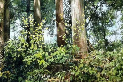 Акварели Абе Тошиюки: волнующие пейзажи, залитые теплом и светом