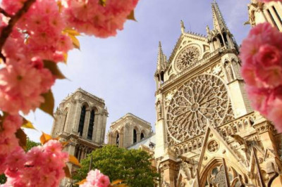 Ароматные круассаны на завтрак, Эйфелева башня и Лувр на обед, романтичные мужчины на ужин: правда и выдумки о Франции и французах