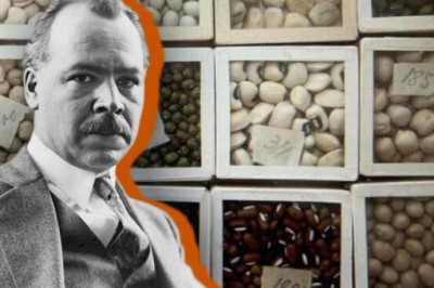 Как в блокадном Ленинграде ученые умирали от голода среди мешков продовольствия