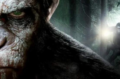 Что, если бы все виды на Земле были разумными