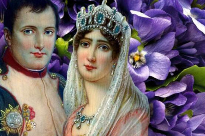 Цветок императрицы Жозефины: почему жена Наполеона была одержима фиалками