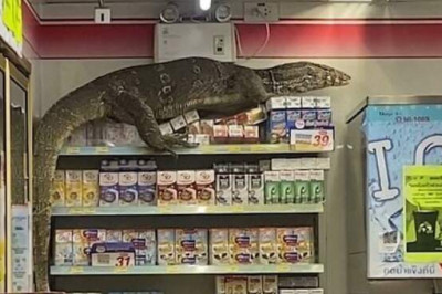 В Таиланде огромный варан устроил переполох в супермаркете