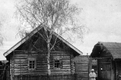 Почему раньше в палисаднике сажали деревья, а не цветы и кустарники
