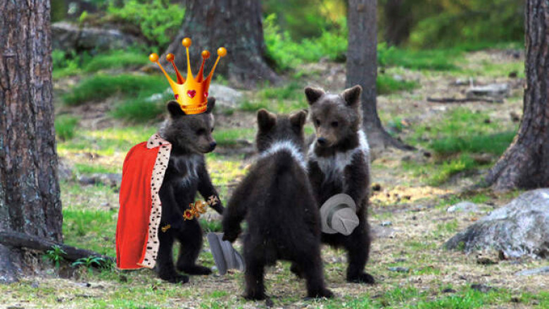 Откуда берутся императоры, фюреры и патриархи, или Почему у власти зачастую оказываются вполне заурядные люди