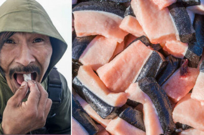 Каныга, кивиак и другие блюда малых народов России, которые вас шокируют