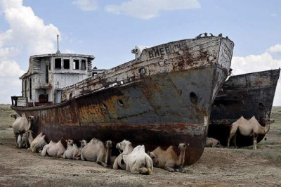 Как Советский Союз уничтожил целое море в Средней Азии и зачем хотел повернуть вспять сибирские реки