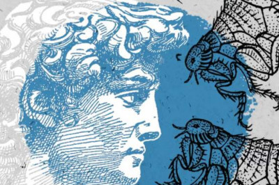 Тем, кому не хватает фобий: 10 отвратительных существ, живущих в вашем теле