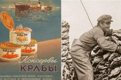 Как СССР и Япония из-за крабов ссорились и ели ли советские граждане камчатский деликатес