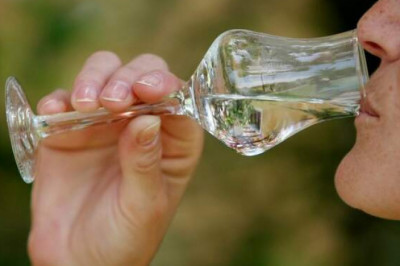 Писко: «огненная вода» раздора