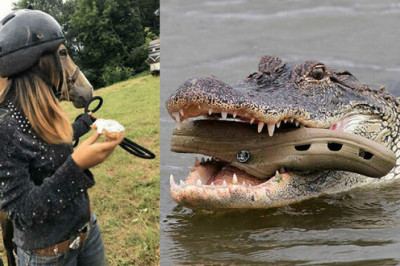 Подборка необычных снимков, которые доказывают - этот мир полон абсурда