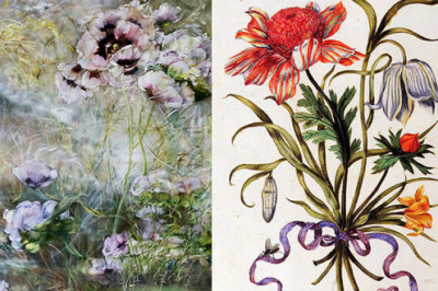 Флора Суринама и "пылающие" тюльпаны: 6 художниц, покоривших мир нарисованными цветами